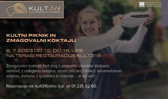 Kultni piknik in znagovalni koktajli / BIC Ljubljana