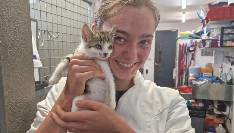 Veterinarski tehniki in tehnice BIC Ljubljana Irska 2024