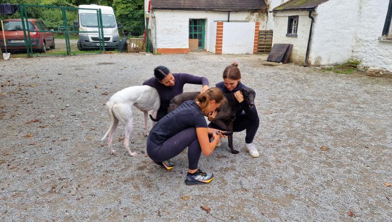 Veterinarski tehniki in tehnice BIC Ljubljana Irska 2024